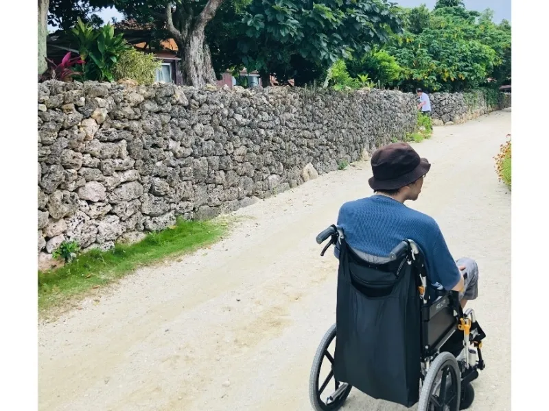 石垣の続く道を車椅子で進む様子
